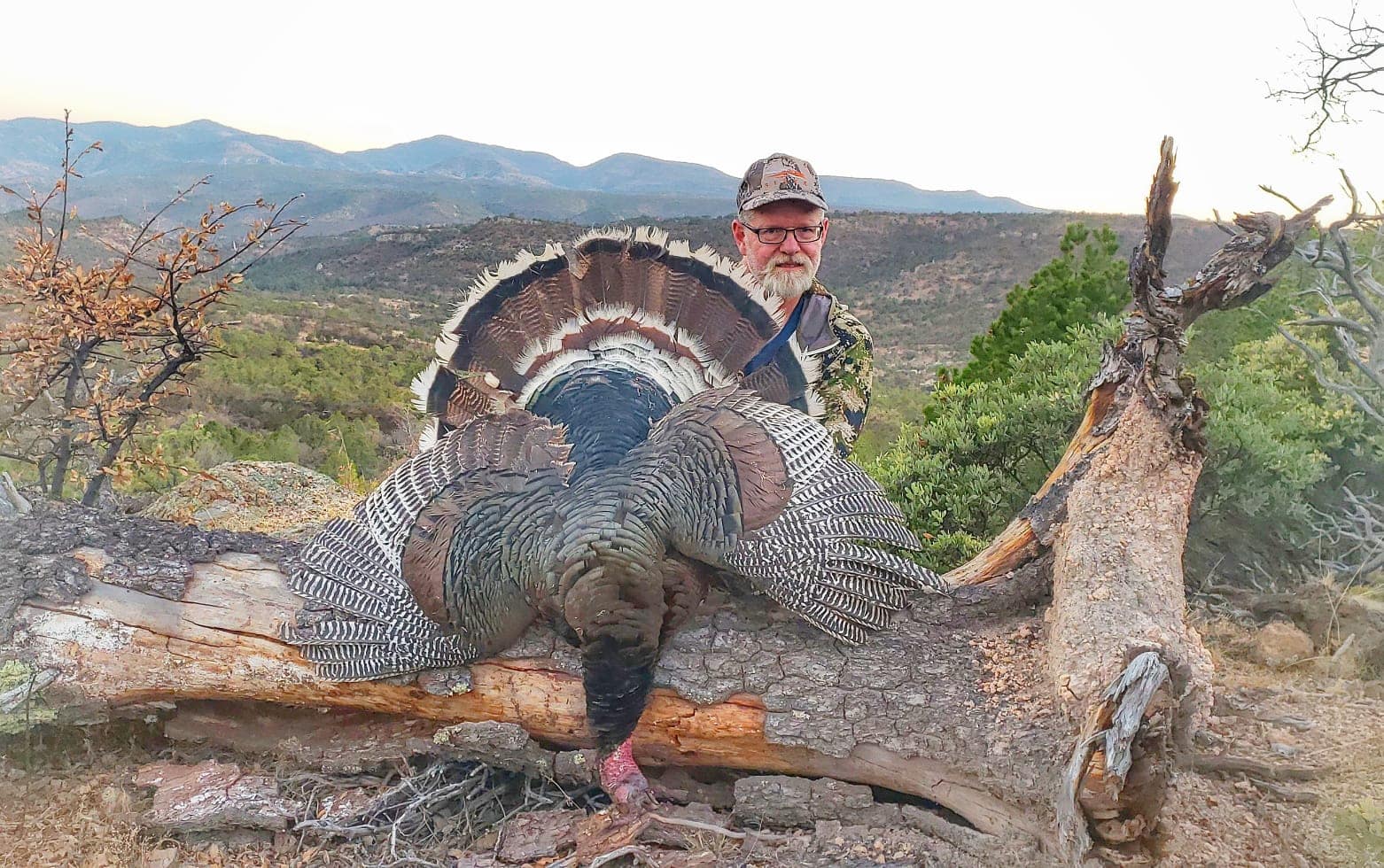 Mexican Turkey Hunt with a Shotgun